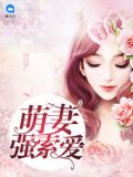总裁的可爱妻