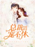 再婚甜妻:总裁宠不休