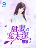 二婚甜妻宠太深蓝子辰