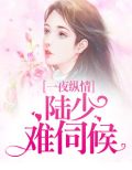 一夜纵情:陆少难伺候