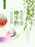 世纪甜婚:傅少的宝贝妻