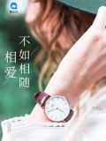 安然雷子琛