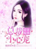 娇妻嫁到,总裁小心宠