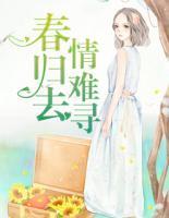 春归去,情难寻