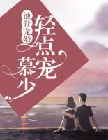 蚀骨宠婚:慕少,轻点宠