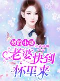 契约小妻:老婆,快到怀里来