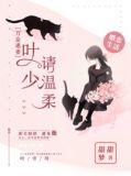 万金逃妻:叶少请温柔