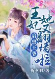 启禀王爷:王妃她又翻墙啦!