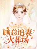 天降六宝:顾总追妻火葬场沈潇潇顾庭霄