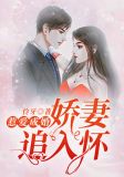 惹爱成婚:娇妻追入怀
