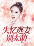 失忆逃妻别太萌