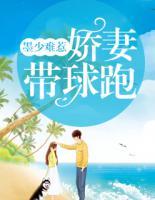墨少难惹:娇妻带球跑