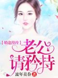婚途漫漫:老公请矜持