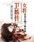 女将卫姝传