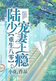 重生八零:陆少宠妻上瘾