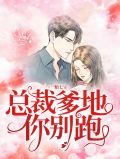 一胎七宝：总裁爹地你别跑季优