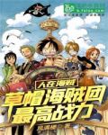 人在海贼,草帽海贼团最高战力