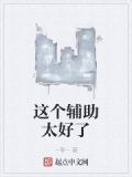 这个辅助太好了