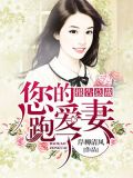 报告总裁:您的爱妻跑了