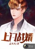 上门战婿