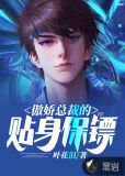 傲娇总裁的贴身保镖