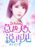 攻势汹汹,总裁大人说再见