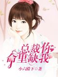 总裁,你命里缺我