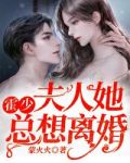 霍少,夫人她总想离婚