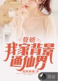 赘婿:我家背景通仙界