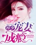 容少宠妻成瘾