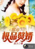 都市极品赘婿
