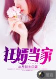 狂婿当家