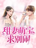 甜妻萌宝求别闹