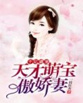 千亿盛宠:天才萌宝傲娇妻