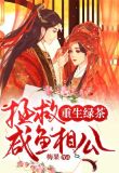 重生绿茶:拯救咸鱼相公