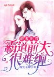 萌妻出没,霸道前夫很难缠