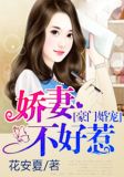 豪门婚宠:娇妻不好惹