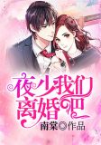 夜少我们离婚吧