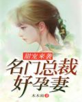 甜宠来袭:名门总裁好孕妻