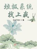 垃圾系统找上我