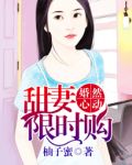 辰先生的婚然心动
