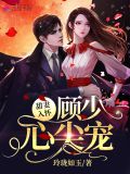 甜妻入怀,顾少心尖宠