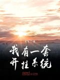 我有一套开挂系统