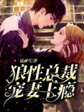 狼性总裁宠妻上瘾