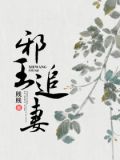 邪王追妻