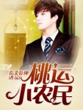 桃运小农民