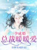 一孕成婚:总裁暖暖爱