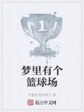 梦里有个篮球场