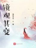 镜观其变