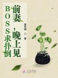 BOSS求扑倒:前妻,晚上见